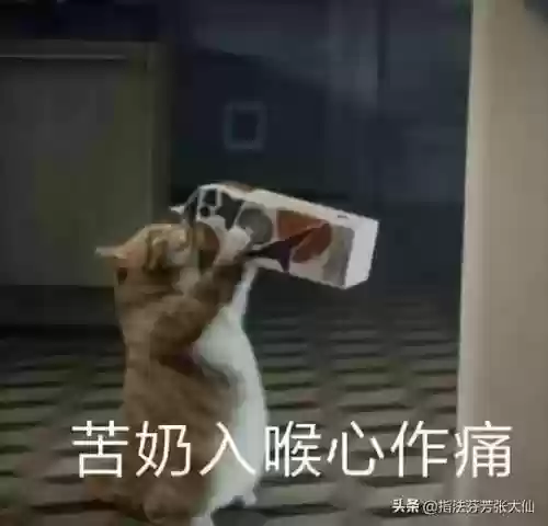 鲁班传说回城搭配阵容(鲁班七号搭配什么辅助)插图10