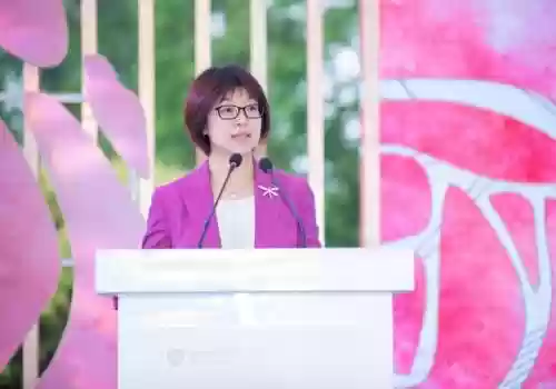 玫瑰小镇嫁接花列表(玫瑰小镇嫁接最容易出大虫的)插图1