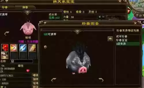 天龙八部珍兽大全资料(天龙八部怀旧服珍兽图鉴)
