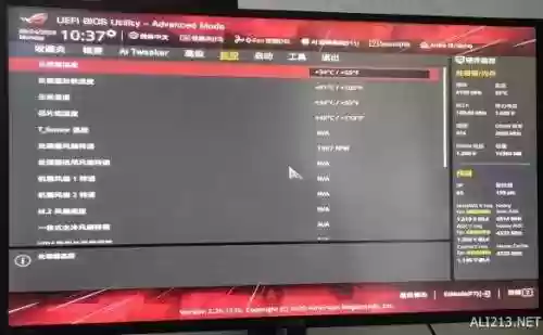骑马与砍杀娶珍珠之光(骑砍战团珍珠之光复国任务)插图19