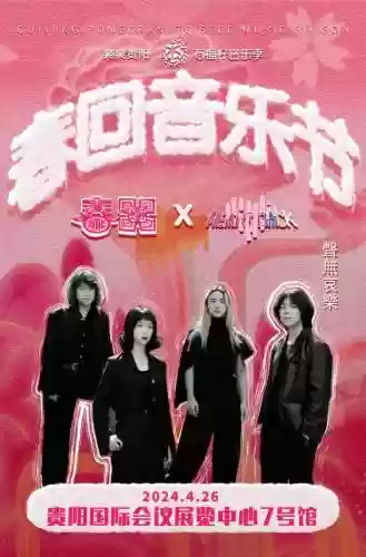 贵阳音乐阵容(贵阳黑脚杆歌mp3)插图6