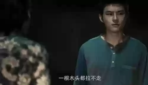 罗团长阵容(高顺阵容搭配攻略)插图53