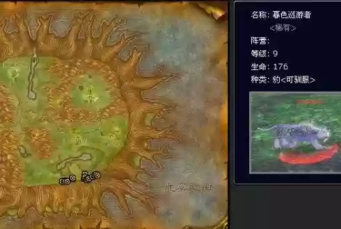 洛克王国宝藏猎人在哪(洛克王国宝藏猎人经验怎么变少了)插图12
