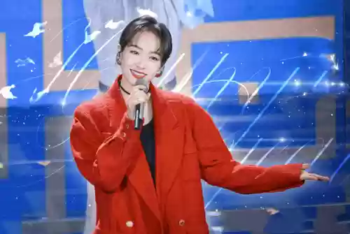 春晚阵容衣服(春节联欢晚会同款衣服图片)插图23