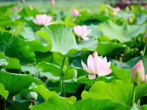 简短的高级情话(很走心的情话干净短句)插图2