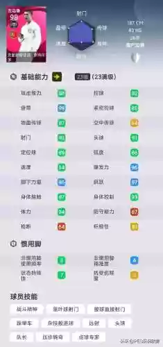 阵容评分99(宝可梦t0阵容)插图9