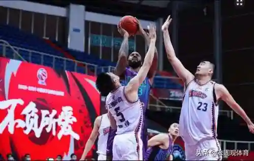 西王小鲨鱼阵容(塔王之王2阵容搭配推荐)插图3
