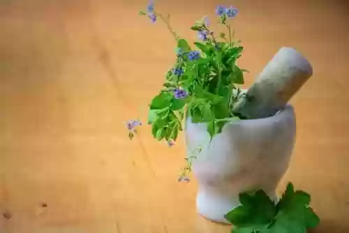 有什么作用(“ ”的作用)