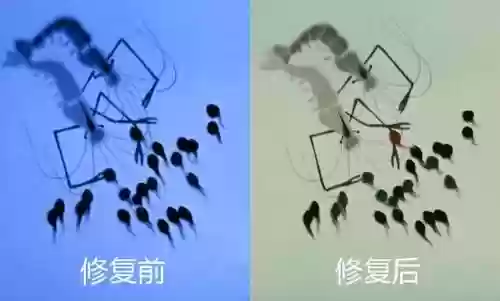 中国100部经典动画片(所有国产动画名单)插图14