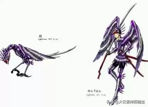 圣斗士中国仙斗士(所有圣斗士)插图27