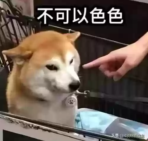 消宝石的祖玛游戏(老版祖玛游戏)插图4