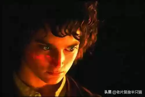 魔戒阿拉贡为什么死了(魔戒甘道夫死了没)插图54