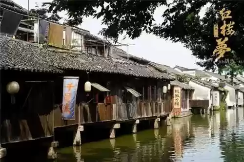 红楼梦杨洋版阵容搭配(多多自走棋阵容搭配)插图7