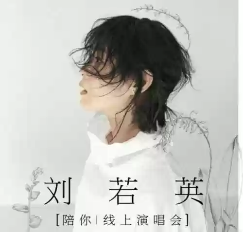 最顶级演唱会神仙阵容图片(演唱会抢票软件哪个成功率高)