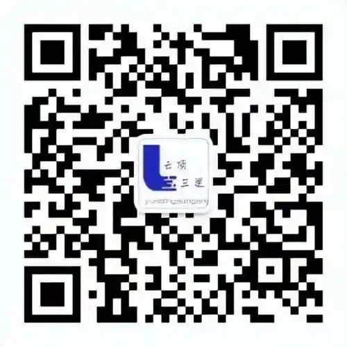 云顶精密德子阵容(云顶之弈德莱文最强阵容)插图5