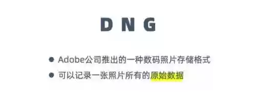 预设阵容导入(预设怎么导入ps)插图8 预设阵容导入(预设怎么导入ps)插图8
