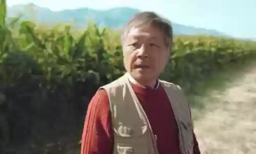 重案六组福星阵容搭配(重案六组全部配角)插图28 重案六组福星阵容搭配(重案六组全部配角)插图28