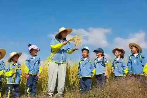 九阴真经2023门派选择(九阴真经一共多少门派)插图8