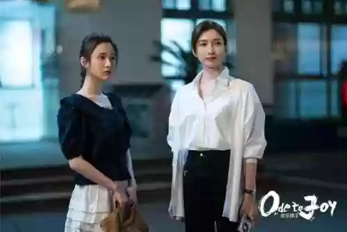 《欢乐颂3》演员阵容介绍(欢乐颂所有演员表)插图18