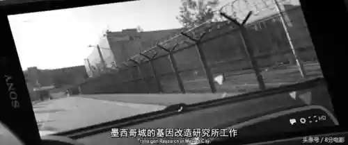 金刚狼3为什么所有变种人都没了(金刚狼3怎么突然就老了)插图13