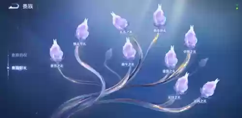 贵族10阵容(皇家骑士团最强12人阵容)