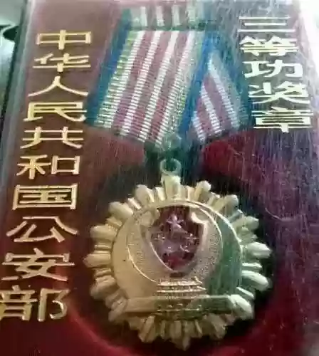 金灿灿毒瘾阵容(金灿灿福星版本哪个阵容最强)插图8