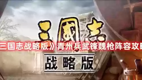 荣耀新三国魏枪阵容(司马懿+许褚+典韦阵容攻略)