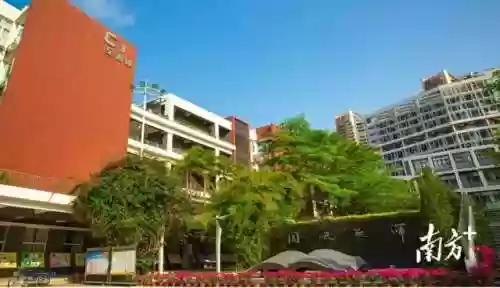 华侨城阵容(华侨城欢乐谷集团)
