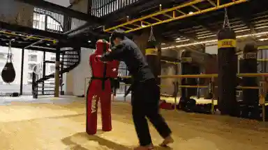 道馆双修阵容装备(阴阳师道馆突破阵容)