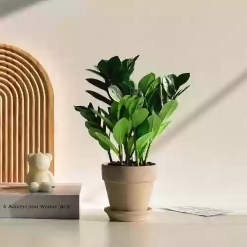 植物大战僵尸聚宝盆阵容(植物大战僵尸最强阵容搭配图片)插图4