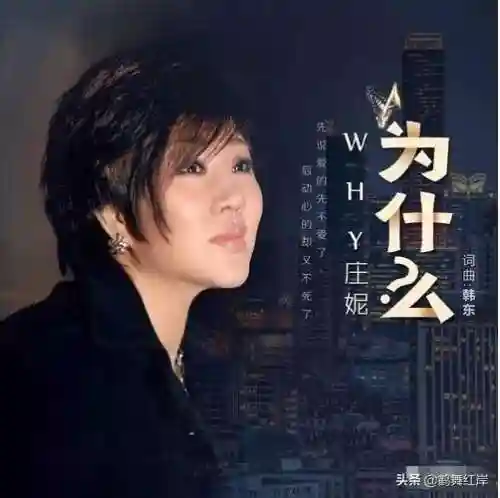 网络歌曲推荐(十大网络爆红歌曲)插图3