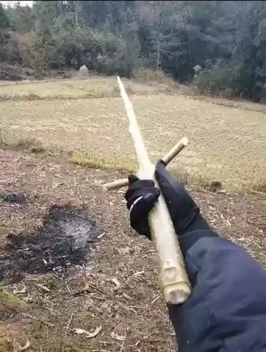 萝卜刀阵容(刀塔自走棋阵容搭配最新)插图6