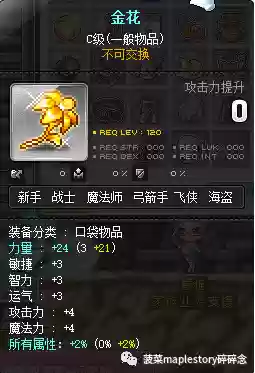 冒险岛火焰骑士阵容装备(冒险岛黑骑士技能加点)插图45