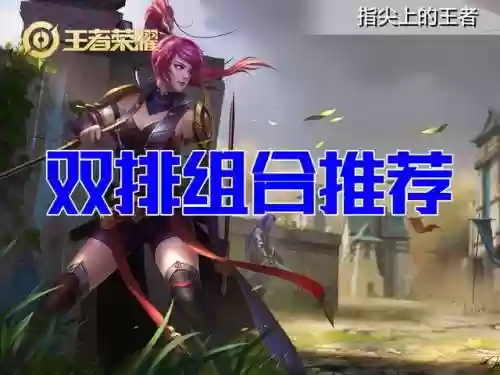 双人战阵容(双人联机对战游戏)