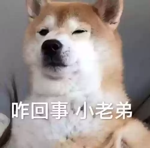 光阴绘卷阵容(百世文华录sss阵容)插图12