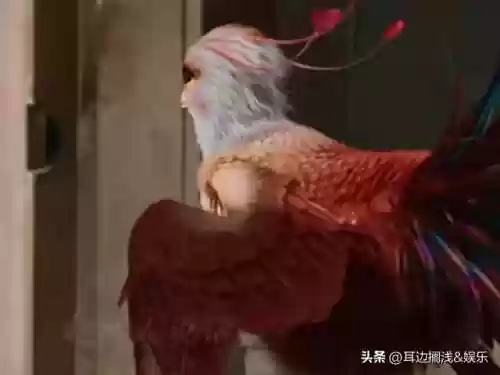 呆萌凤凰阵容推荐(梦幻模拟战冰渊凌御者阵容)插图3
