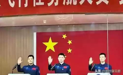 组队养鱼阵容(养鱼怎么搭配比较合适)插图1