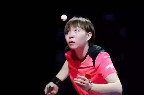 单打决赛奥地利阵容(比利时vs捷克阵容)插图1