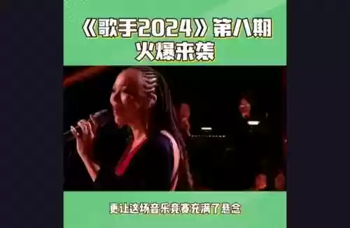 歌手8阵容(我是歌手第二季阵容)插图4