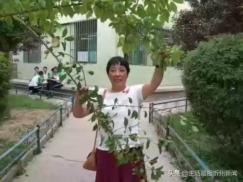 忻州附中初中老师阵容介绍(忻州实验和附中哪个好)插图15