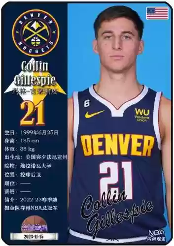 历年掘金队阵容(辽宁男篮历史所有队员)插图7