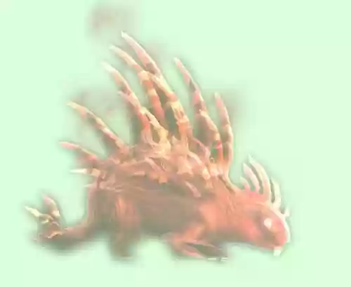魔兽世界猎人灵魂兽大全(魔兽稀有宠物大全带图)插图3