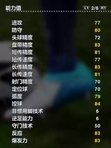 实况2013强力前锋阵容(实况足球10前锋排名)插图38