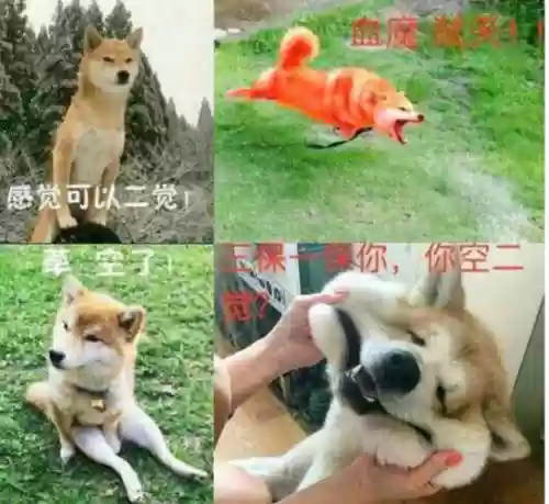 2022旭旭宝宝红眼加点(dnf红眼技能加点2024)
