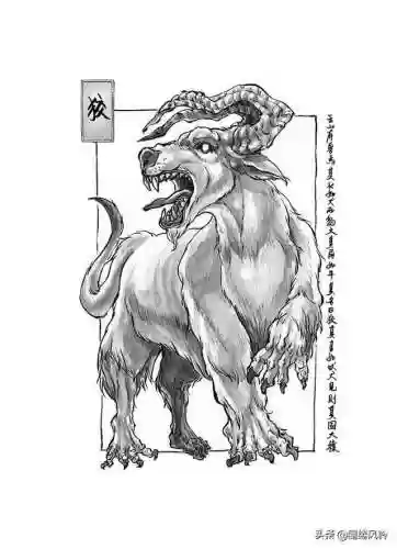 108只神兽大全(宝可梦98只神兽图片)插图42