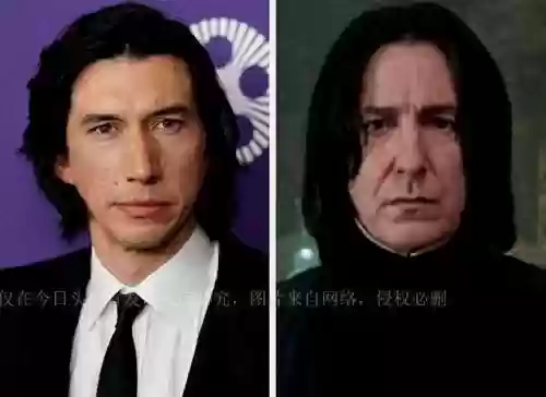 哈利波特全员阵容(哈利波特魔法觉醒最强卡牌组合)插图2