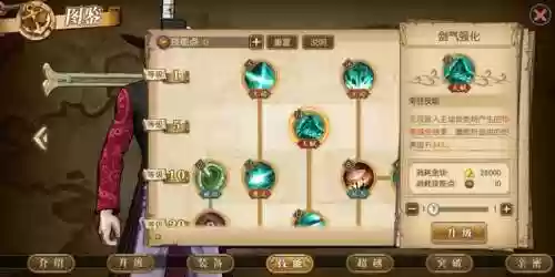 鹰眼最强阵容(航海王燃烧意志鹰眼加点图最新)插图9