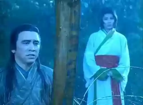 九阴真经姜大卫版20(九阴真经姜大卫版全集百度视频)插图47