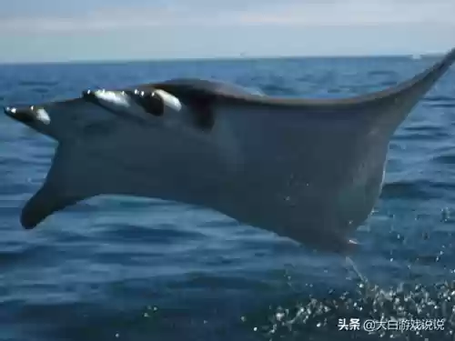 虚空进化阵容(虚空幻界终结之剑进化路线)插图5
