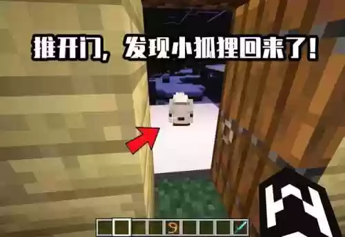我的世界狐狸怎么驯服(我的世界驯服宠物大全表)插图9